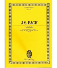 Bach Cantata No. 78 Jesu, der du meine Seele