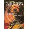 Soundscapes: Irish Music & Aural Awareness