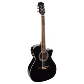 Artist Series Acoustic Guitar RG-16-CE Black