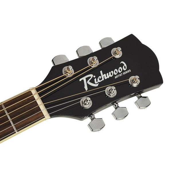 Artist Series Acoustic Guitar RG-16-CE Black