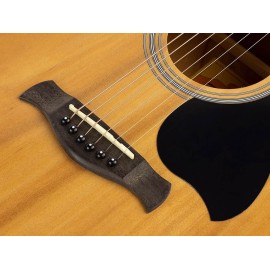 RA12 Acoustic Guitar