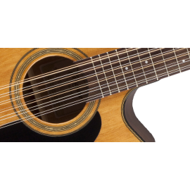 Acoustic 12 String Dreadnought Guitar