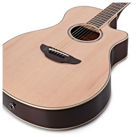 APX600 Electro Acoustic Guitar, Natural