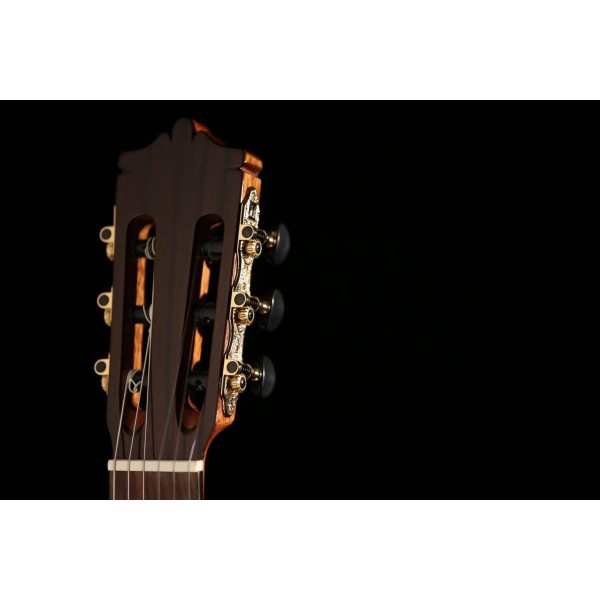 Martinez Classical Guitar MC48C