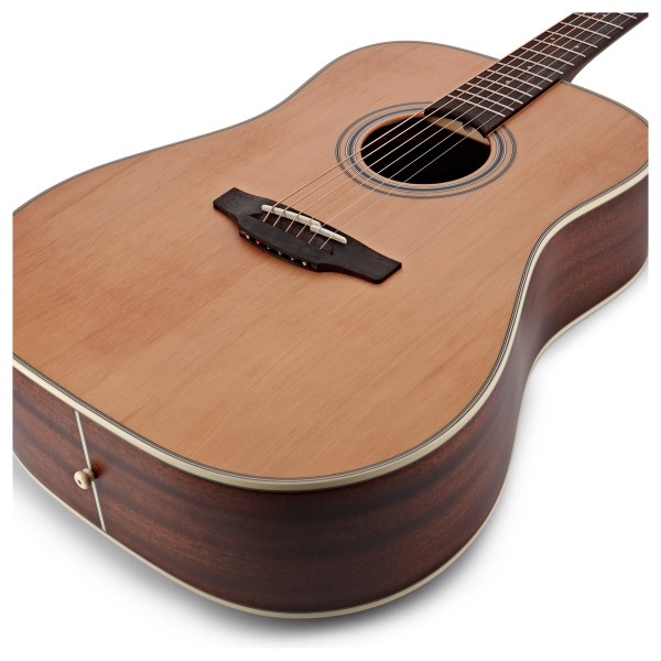 Takamine GD20NS Acoustic Guitar