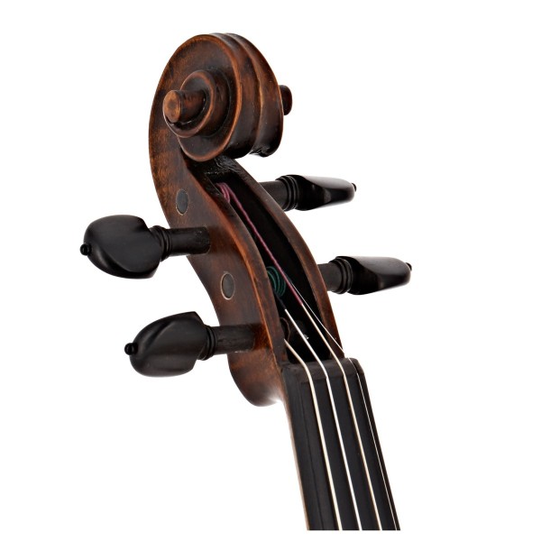 Stentor Arcadia Violin 4/4 Size Distressed Finish