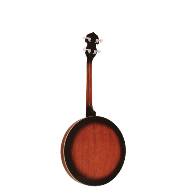 Barnes and Mullins BJ304 tenor banjo