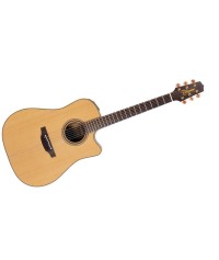 P3DCNAT Semi-Acoustic Guitar