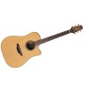 P3DCNAT Semi-Acoustic Guitar