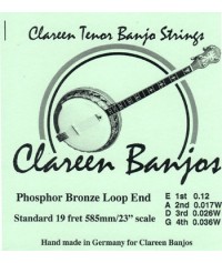 Tenor Banjo Strings Phosphor Bronze Loop End