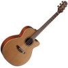 P3NC Semi-Acoustic Guitar