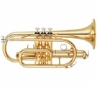 visit Brass & Woodwind prododuct category
